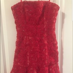 BCBG Maxazria Mini Dress